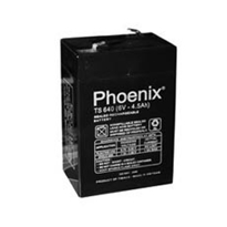 Bình ắc quy Phoenix 6V - 4.5AH