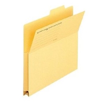 File lệch Plus FL061IF-87-097 màu vàng
